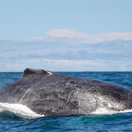 ホテルPrana Pacifico Retreats Nuquí エクステリア 写真