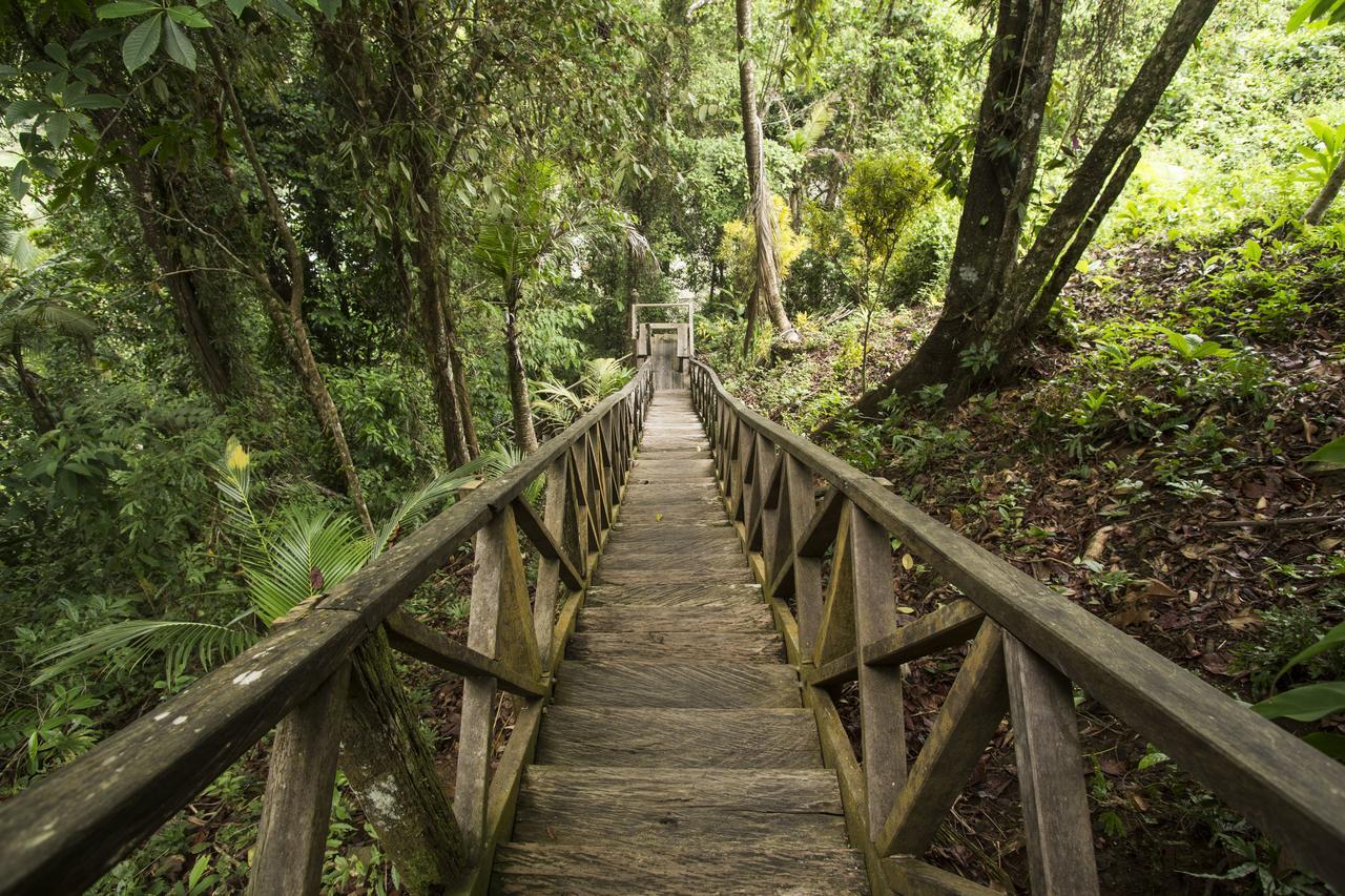 ホテルPrana Pacifico Retreats Nuquí エクステリア 写真