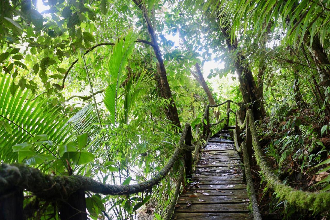 ホテルPrana Pacifico Retreats Nuquí エクステリア 写真